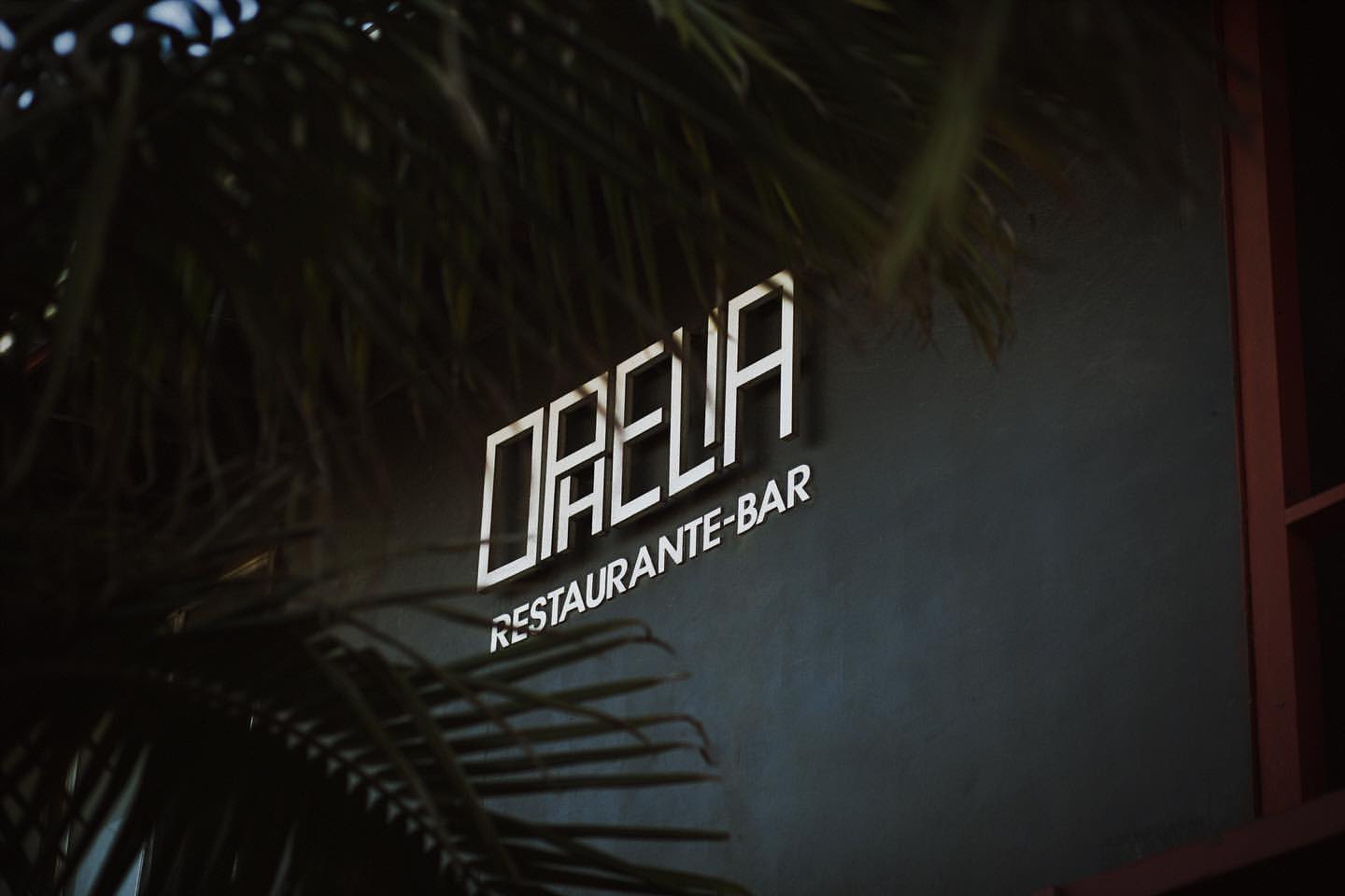 Letrero de Ophelia Restaurante-Bar entre palmeras nocturnas